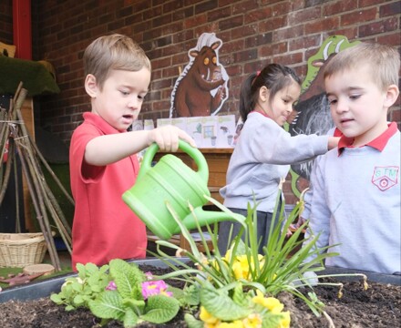 EY 27 planting